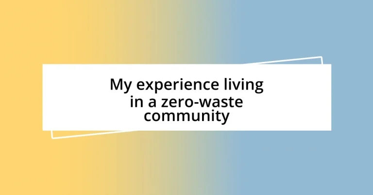 My experience living in a zero-waste community