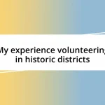 My experience volunteering in historic districts