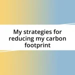 My strategies for reducing my carbon footprint