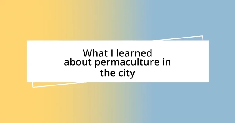 What I learned about permaculture in the city