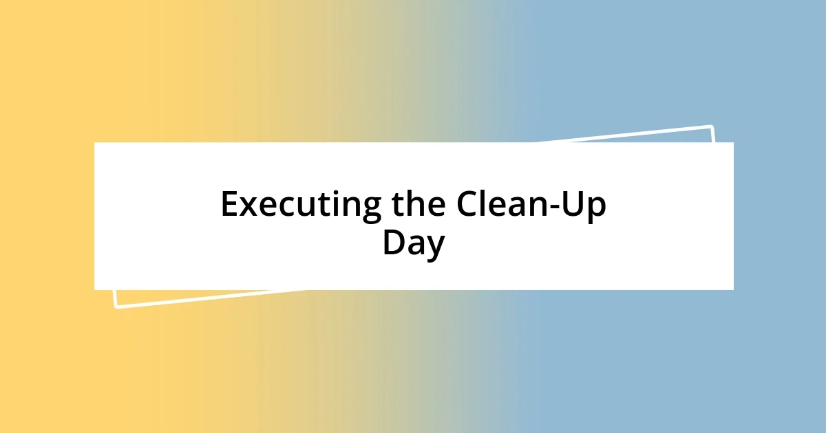 Executing the Clean-Up Day