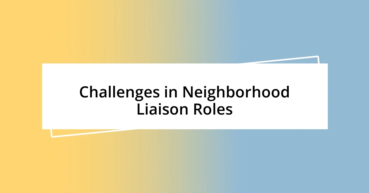 Challenges in Neighborhood Liaison Roles