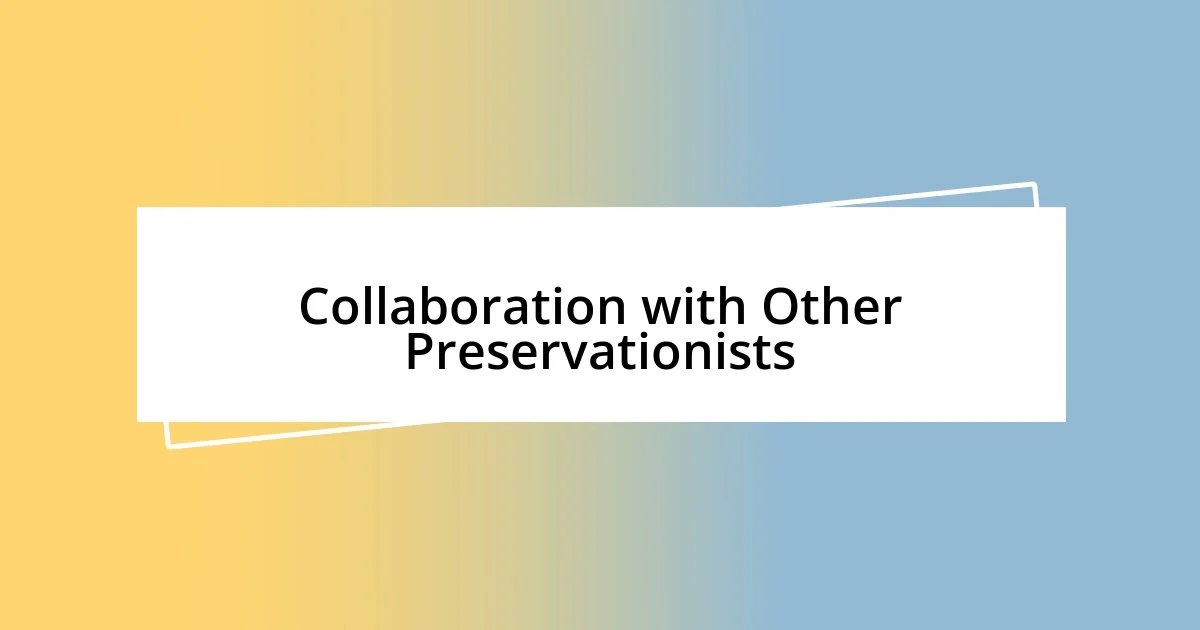 Collaboration with Other Preservationists