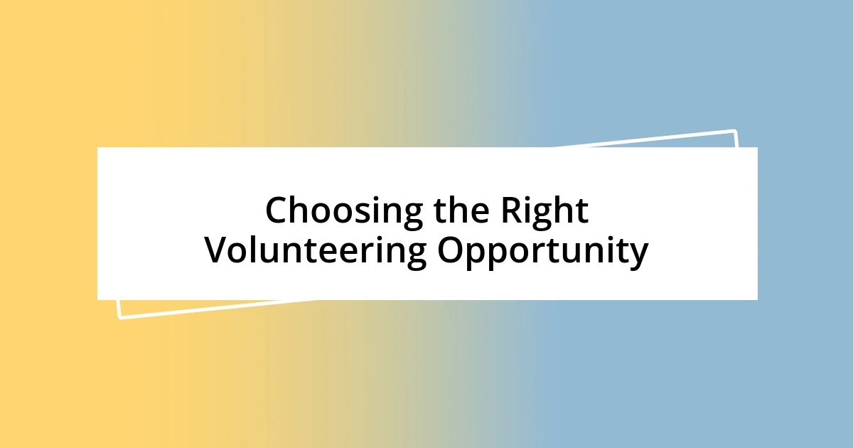 Choosing the Right Volunteering Opportunity