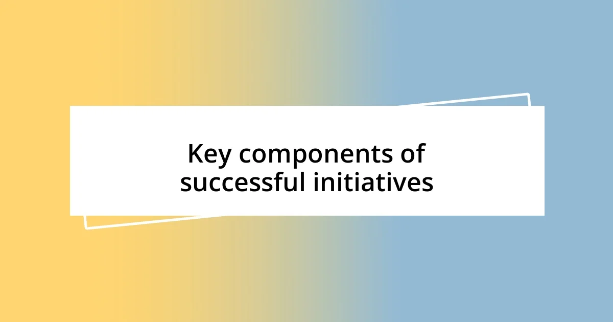 Key components of successful initiatives